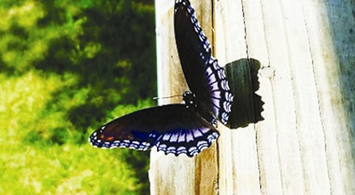 3 "dấu hiệu vàng" chứng tỏ bạn đang được Thần Tài để mắt, sớm muộn cũng đạt tới đỉnh cao danh vọng