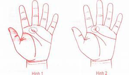 Tướng tay của người ăn may suốt đời, sinh ra đã mang mệnh phú quý, lộc lá hưởng cả đời