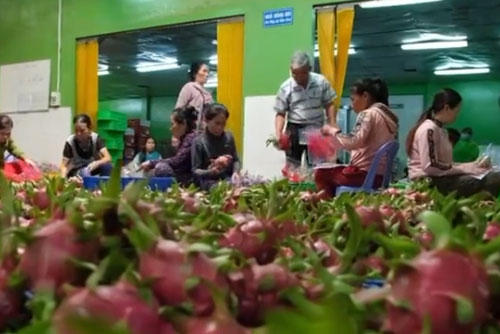 Bàn giải pháp tiêu thụ nông sản