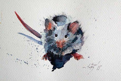 Chuyên gia phong thủy: Nằm mơ thấy chuột báo hiệu điềm lành hay dữ?