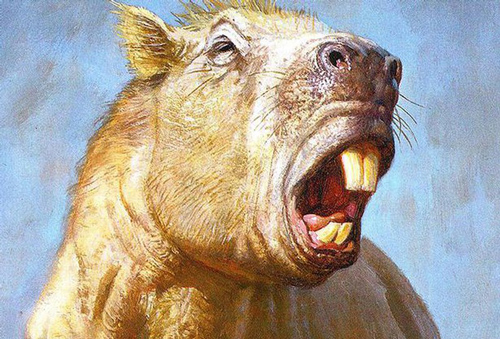 Chân dung loài chuột to như trâu, hàm giống hổ sống khoảng ba triệu năm trước