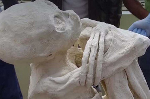 Bí ẩn xuyên thời đại xác ướp dị hình 3 ngón tay