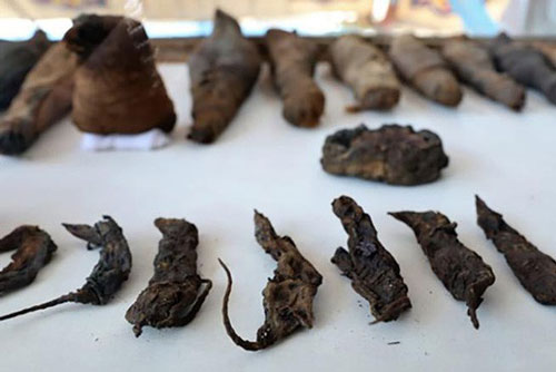 Bí mật 'kinh thiên' về xác ướp chuột ngàn năm tuổi thời Ai Cập cổ