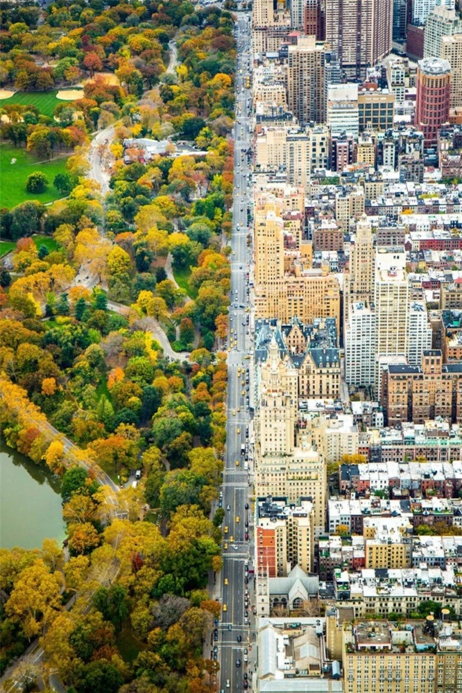Khi rừng cây và đô thị trong cùng một khung cảnh. Không ngờ, ngẫu nhiên 2 thế giới khi đứng cạnh nhau lại đẹp đến vậy.