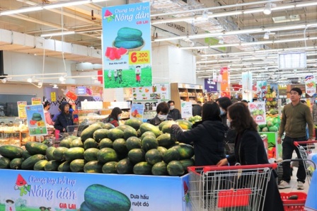 Big C chung tay hỗ trợ nông dân các tỉnh thành trồng thanh long và dưa hấu
