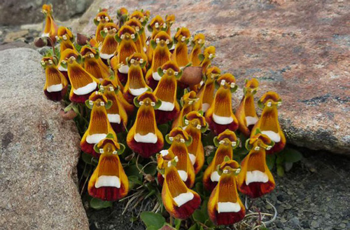 10 khoảnh khắc ngẫu nhiên thú vị, không hề qua photoshop, khiến cả thế giới "trầm trồ không ngớt"