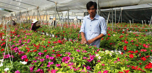 Lâm Đồng: Chàng trai 8x kiếm tiền tỉ từ những chậu hoa treo