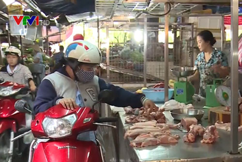 Giá lợn hơi đang có xu hướng giảm nhẹ