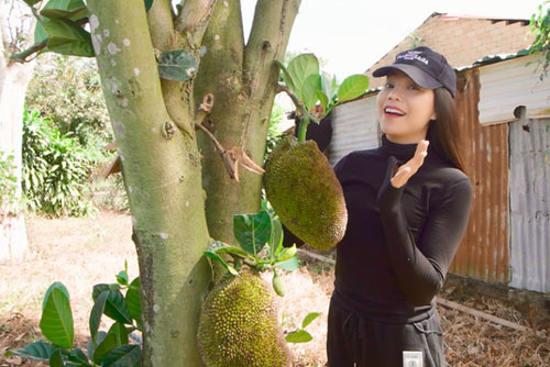 Nông trại tiền tỷ có suối chảy róc rách của “mỹ nhân hàng hiệu” trong showbiz Việt