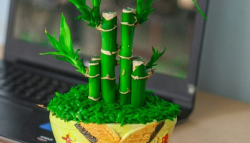 3 con giáp sau phải trồng những loại cây này mới hốt bạc về nhà, phát tài rực rỡ, tiền về như nước