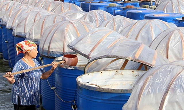 Tại Hà Tĩnh, nước mắm được sản xuất theo phương pháp truyền thống với nguyên liệu là cá cơm vẫn được nhiều khách hàng tin dùng