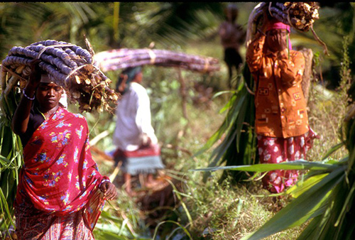 Lạ lùng những ngôi làng của phụ nữ không có tử cung