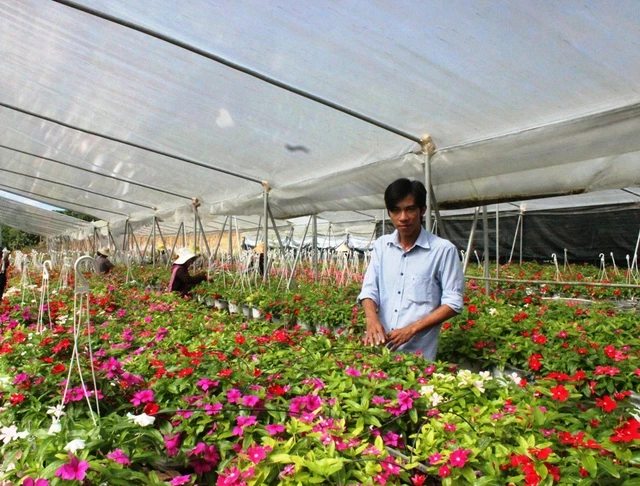 Nguyễn Anh Duy bên trang trại hoa của mình