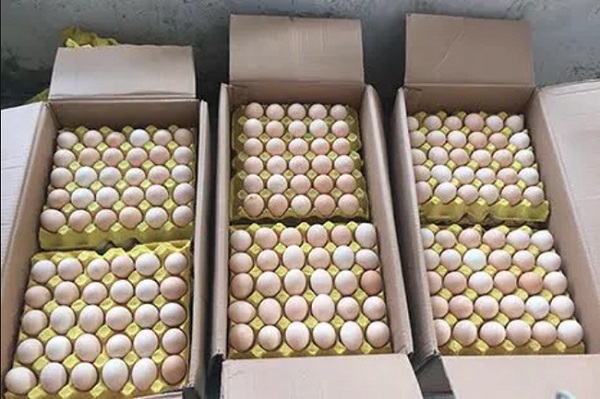 Quy định về NK hạn ngạch thuế quan với muối và trứng gia cầm năm 2020