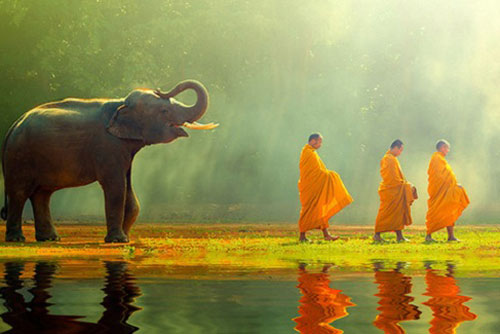 Chỉ cần giữ được 5 tính cách này, chuyện gì cũng sẽ tốt đẹp, quý nhân không mời mà đến