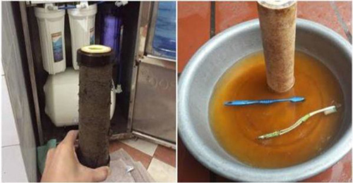 Những sai lầm nghiêm trọng khi sử dụng máy lọc nước "tiếp tay" cho vi khuẩn xâm nhập, gây bệnh cho gia đình