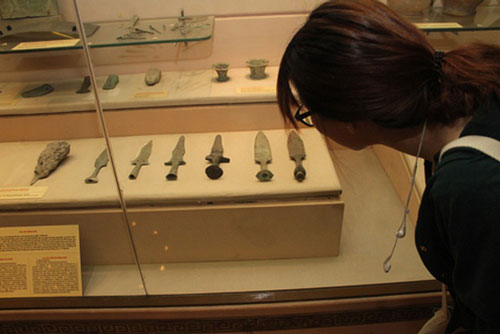 Giải câu hỏi hơn 2.000 tuổi: 'Vì sao rắn nuốt voi'