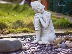 Thông minh quá tất bị hại, làm người ngốc một chút mới là khôn ngoan
