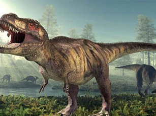 Tại sao khủng long bạo chúa có ‘đôi tay’ quá nhỏ so với cơ thể khổng lồ?