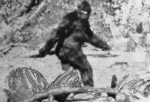 Tiết lộ "chấn động" về sự tồn tại của quái vật Bigfoot