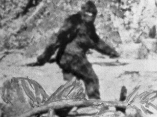 Tiết lộ "chấn động" về sự tồn tại của quái vật Bigfoot