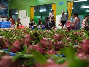 Làm thế nào tháo gỡ khó khăn cho nông sản Việt trước tình hình dịch viêm phổi cấp?