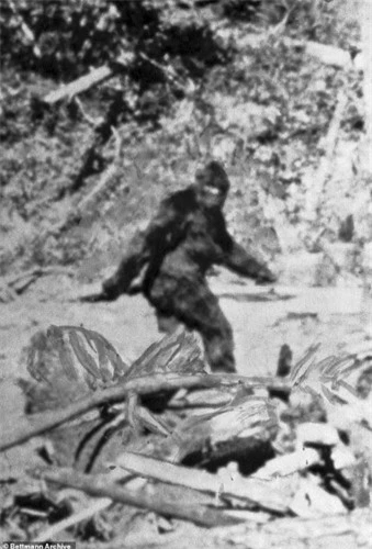 Tiet lo chan dong su ton tai cua quai vat Bigfoot-Hinh-8