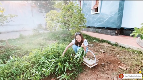 Nam Thư bị chê bai vì mặc trang phục không phù hợp tại nhà thờ tổ của Hoài Linh