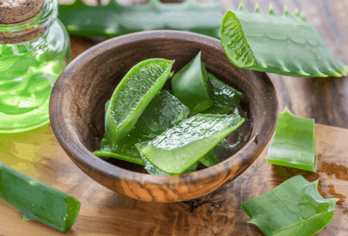 Lấy 1 lá nha đam rồi làm theo cách này, da trắng như trứng gà bóc mà lỗ chân lông lại se khít