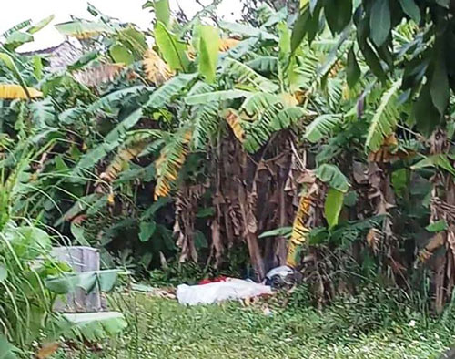 Ninh Bình: Tá hỏa phát hiện thi thể người đàn ông trong bụi chuối