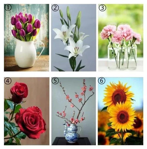 Bạn chọn loài hoa nào?