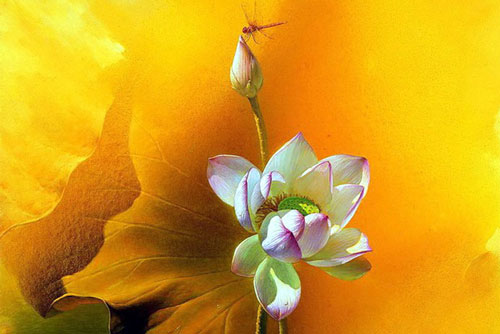 Phật dạy: Cha mẹ làm tốt điều này, con cháu nhất định hưng vượng, cuộc đời may mắn, giàu sang