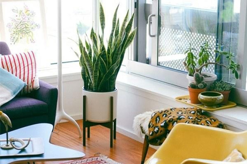 Sai lầm cực phổ biến trong phong thuỷ gia đình nào mắc phải chắc chắn sẽ hối hận cả đời