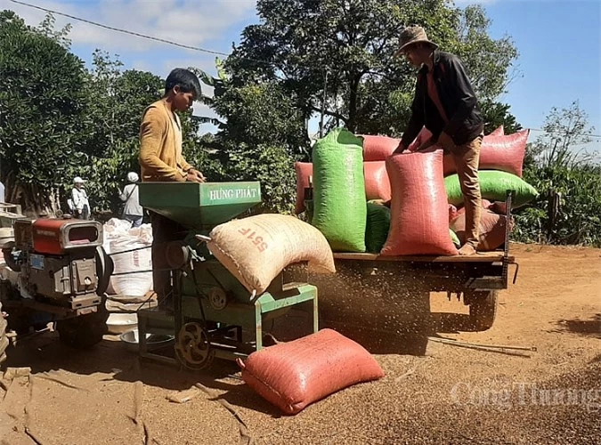 ca phe viet tim huong di ben vung