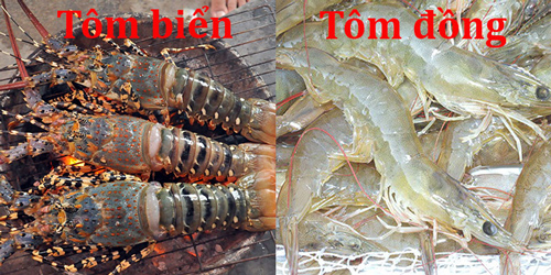 Luộc tôm đỏ hồng- chắc thịt không cần dùng muối, cứ bỏ thêm 1 thứ này vào nồi là giữ nguyên 100% chất bổ