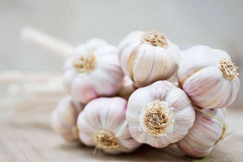 Buổi sáng cứ đặt thứ này lên bàn thờ Thần Tài, tiền vào như nước, làm ăn may mắn