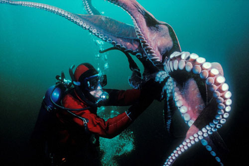 Cảnh đối mặt với những sinh vật khủng khiếp dưới đại dương