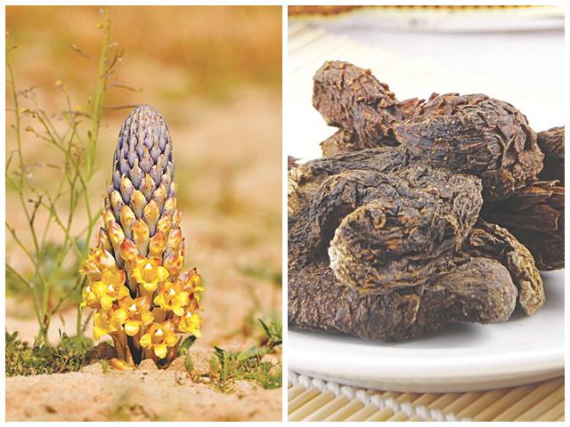 Món cháo thần dược khiến Võ Tắc Thiên 80 tuổi vẫn sung mãn, không đêm nào ngủ thiếu đàn ông