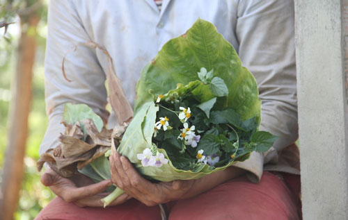 Điều kiện của hạnh phúc