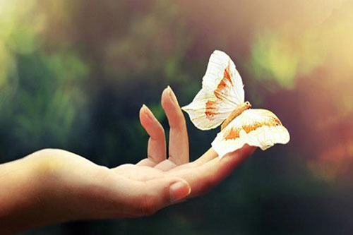 Sống ở đời chỉ cần làm người tốt là đủ, đừng quá đặt nặng suy nghĩ thiệt hơn