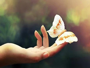 Sống ở đời chỉ cần làm người tốt là đủ, đừng quá đặt nặng suy nghĩ thiệt hơn