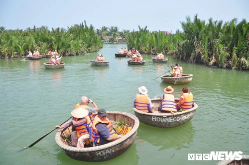 Rừng dừa nước Bảy Mẫu trở thành điểm đến ưa thích của khách du lịch trong nhiều năm gần đây.