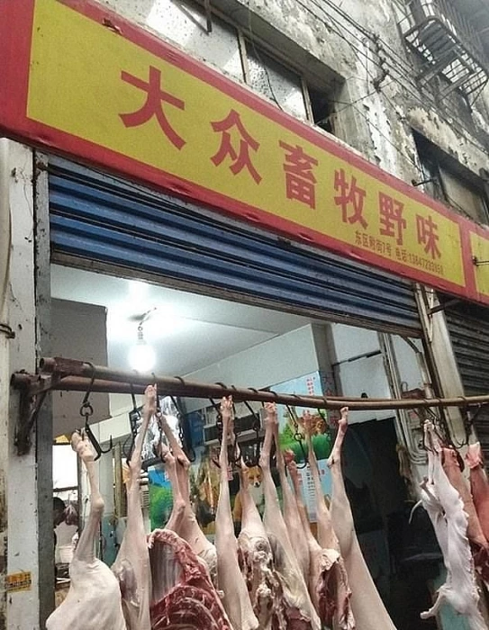khu chợ ở Vũ Hán – nơi phát tán dịch bệnh do virus corona ra khắp thế giới