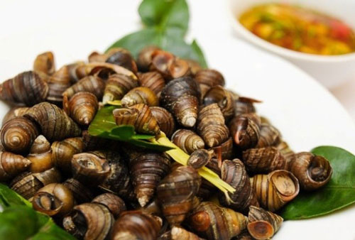 Tuyệt chiêu để sò, ốc, nghêu nhả hết đất cát và chất nhờn ai cũng nên biết