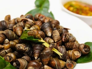 Tuyệt chiêu để sò, ốc, nghêu nhả hết đất cát và chất nhờn ai cũng nên biết