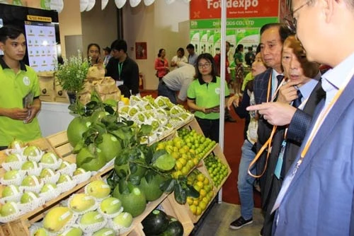 Trái cây Việt gặp thách thức lớn trong việc chuyển hướng thị trường xuất khẩu