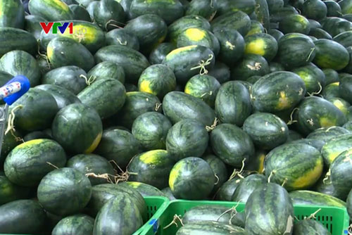 Thị trường nội địa cho nông sản sau đợt giải cứu