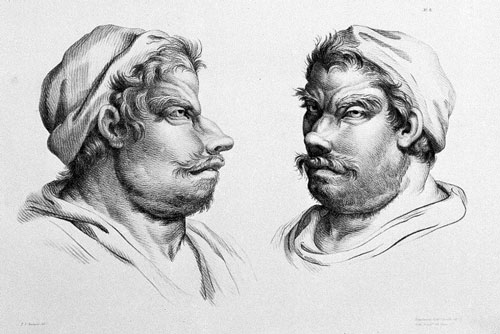 Loài người sẽ ra sao nếu tiến hóa từ động vật khác?