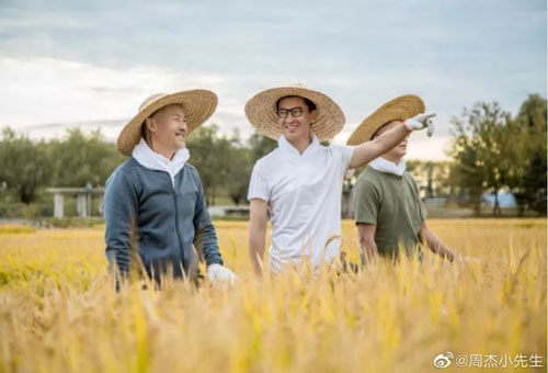 Dịch Corona bùng phát ở Trung Quốc, sao phim "Hoàn Châu Cách Cách" ủng hộ gạo