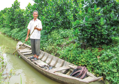 Trồng mít Thái kết hợp nuôi cá cho thu nhập cao